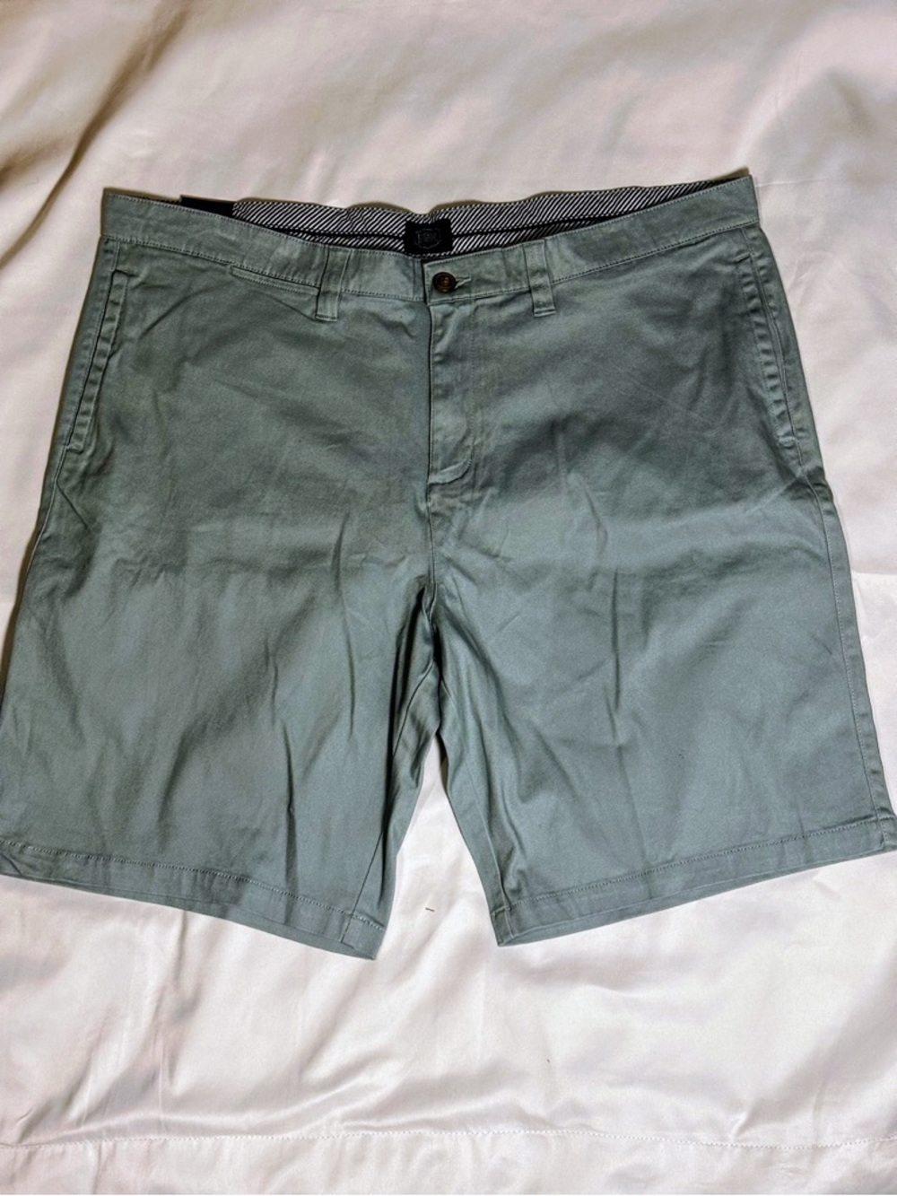 Men's Flat-Front Chino Shorts in Sage Green
